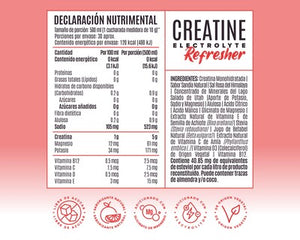 Birdman Creatina Electrolyte Refresher 300 gr